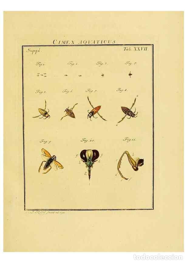 Collectionnisme de Revues et Journaux: Reproducci&oacute;n/Reproduction 7158177864: De natuurlyke historie der insecten;. Te Haarlem,By C. H. Bohn