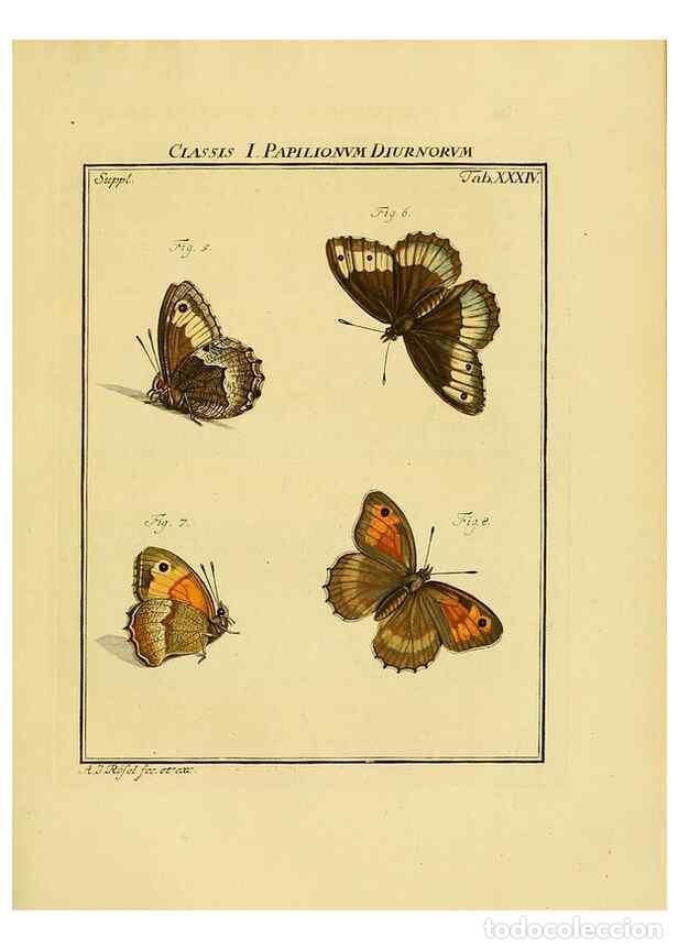 Collectionnisme de Revues et Journaux: Reproducci&oacute;n/Reproduction 7158185520: De natuurlyke historie der insecten;. Te Haarlem,By C. H. Bohn