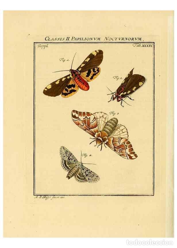 Collectionnisme de Revues et Journaux: Reproducci&oacute;n/Reproduction 7158192434: De natuurlyke historie der insecten;. Te Haarlem,By C. H. Bohn