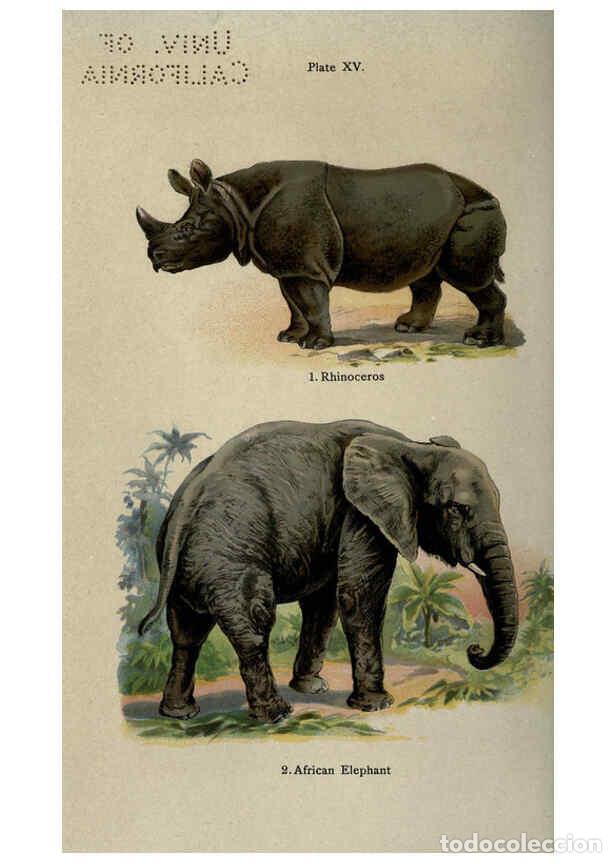 Sammeln von Zeitschriften und Zeitungen: Reproducci&oacute;n/Reproduction 5984801743: The handy natural history Boston,R.G. Badger, The Gorham press