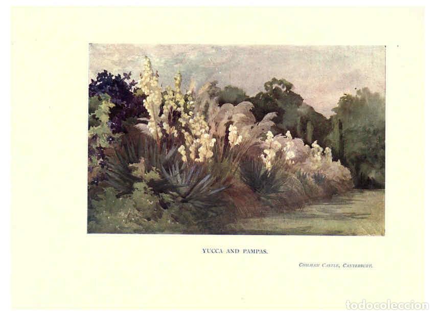 Coleccionismo de Revistas y Peri&oacute;dicos: Reproducci&oacute;n/Reproduction 6286315124: Garden colour London,E. P. Dutton & company,1905 - Margaret H.