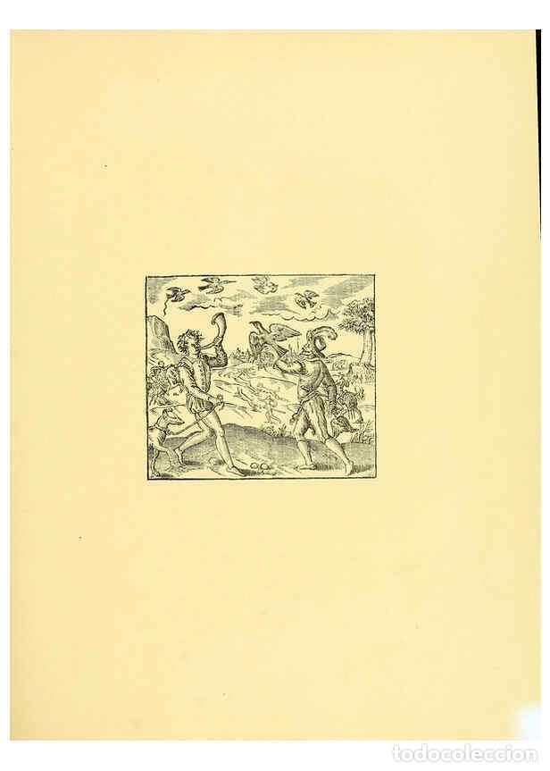 Coleccionismo de Revistas y Peri&oacute;dicos: Reproducci&oacute;n/Reproduction 5982080938: Ornithological miscellany V.1 London :Tr&uuml;bner and Co., Bernard