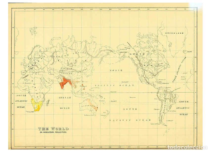 Coleccionismo de Revistas y Peri&oacute;dicos: Reproducci&oacute;n/Reproduction 5981525711: Ornithological miscellany V.1 London :Tr&uuml;bner and Co., Bernard