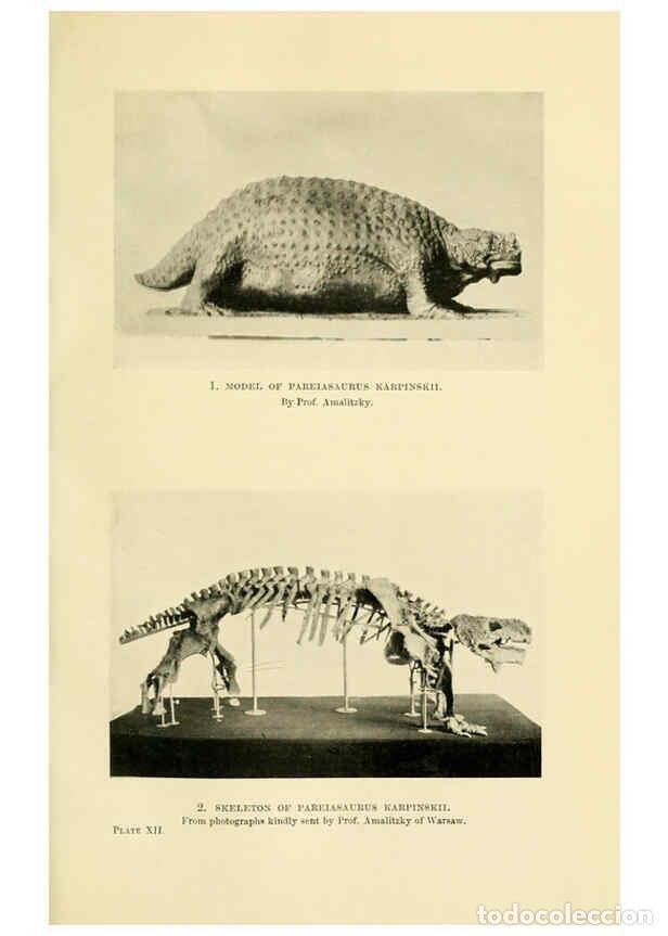 Coleccionismo de Revistas y Peri&oacute;dicos: Reproducci&oacute;n/Reproduction 6288294621: Extinct monsters and creatures of other days London :Chapman &