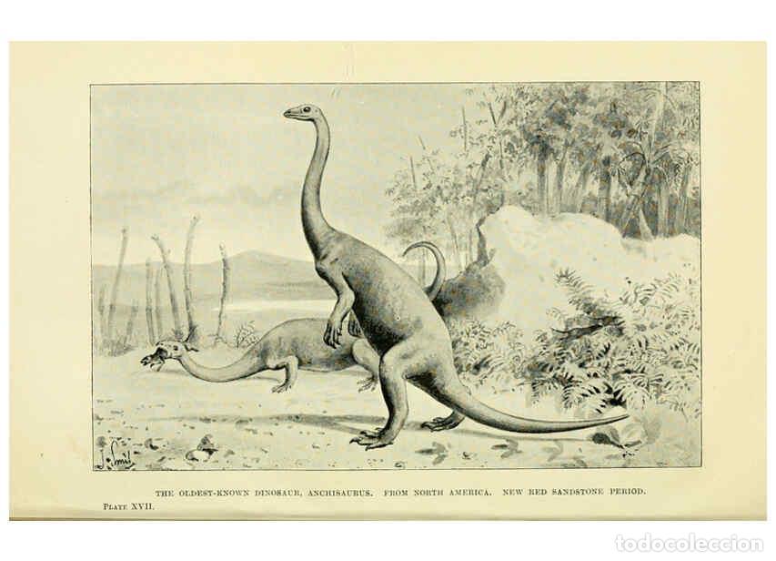 Coleccionismo de Revistas y Peri&oacute;dicos: Reproducci&oacute;n/Reproduction 6288815674: Extinct monsters and creatures of other days London :Chapman &