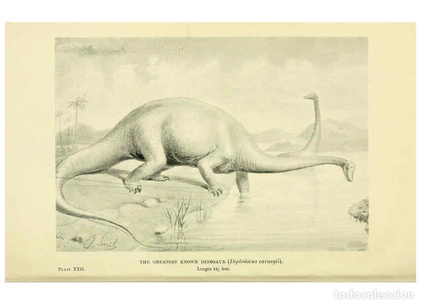 Colecionismo de Revistas e Jornais: Reproducci&oacute;n/Reproduction 6288816592: Extinct monsters and creatures of other days London :Chapman &