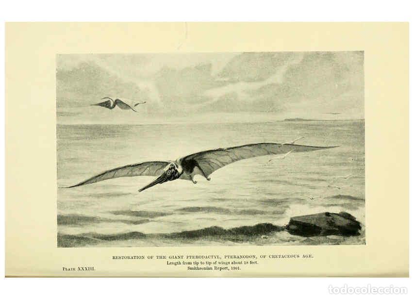 Colecionismo de Revistas e Jornais: Reproducci&oacute;n/Reproduction 6288818566: Extinct monsters and creatures of other days London :Chapman &