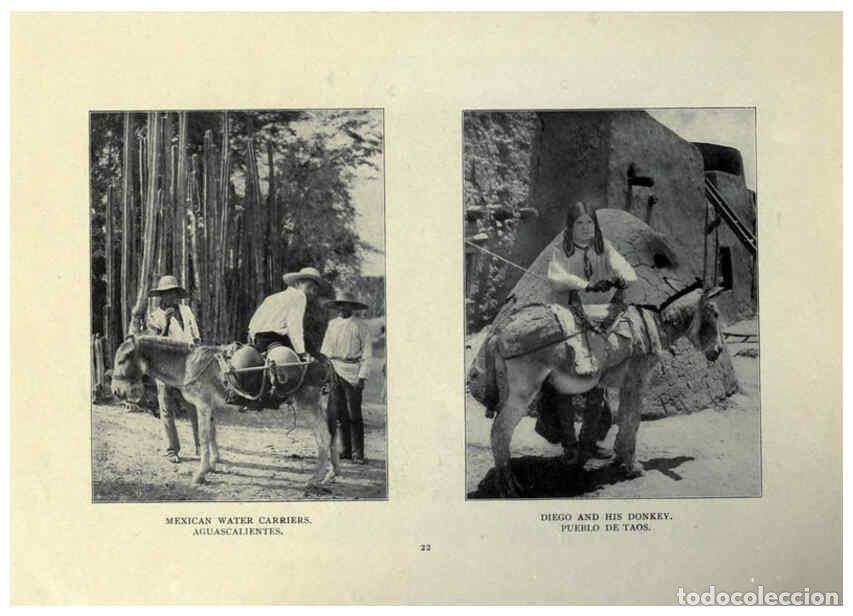 Sammeln von Zeitschriften und Zeitungen: Reproducci&oacute;n/Reproduction 6025251133: The Burro book Pueblo, Colo. :S.M. McCandless,c1900 - S. M. Mc