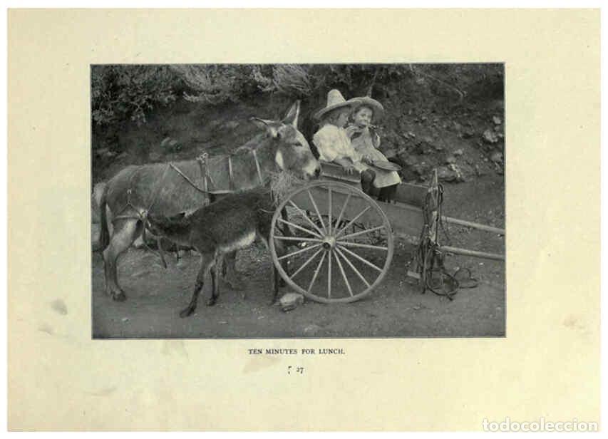 Sammeln von Zeitschriften und Zeitungen: Reproducci&oacute;n/Reproduction 6025807130: The Burro book Pueblo, Colo. :S.M. McCandless,c1900 - S. M. Mc