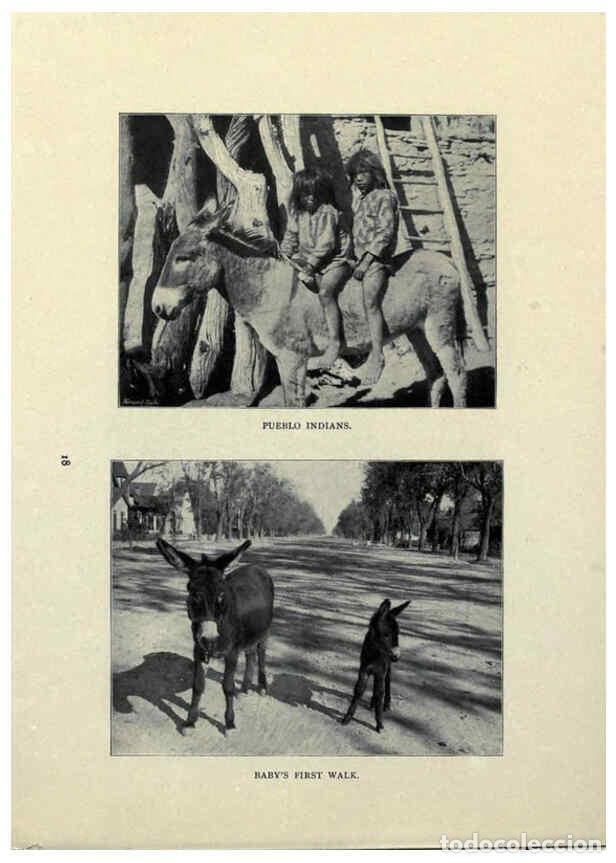 Sammeln von Zeitschriften und Zeitungen: Reproducci&oacute;n/Reproduction 6025805420: The Burro book Pueblo, Colo. :S.M. McCandless,c1900 - S. M. Mc