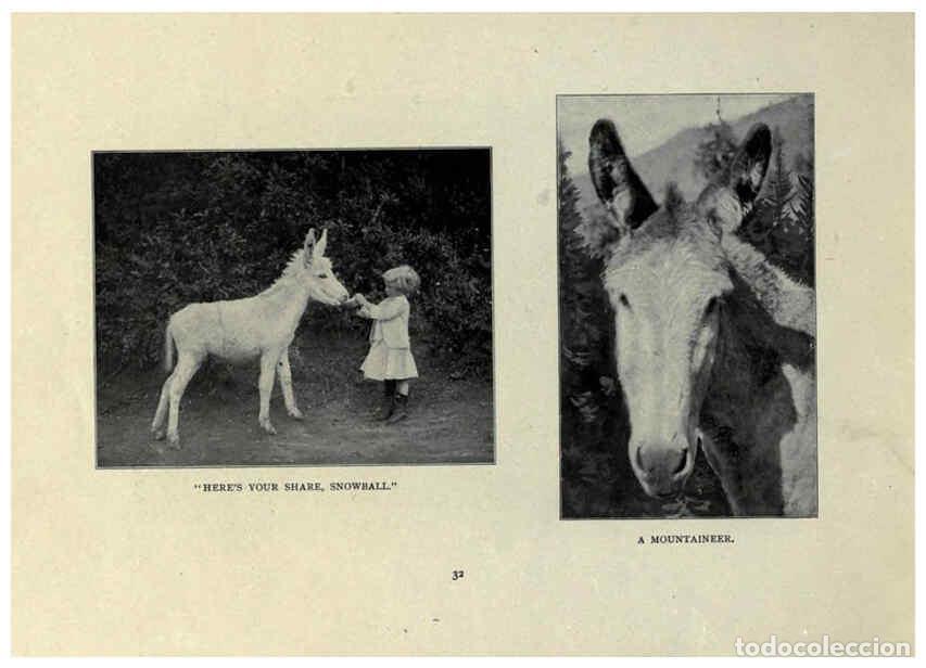 Sammeln von Zeitschriften und Zeitungen: Reproducci&oacute;n/Reproduction 6025253073: The Burro book Pueblo, Colo. :S.M. McCandless,c1900 - S. M. Mc