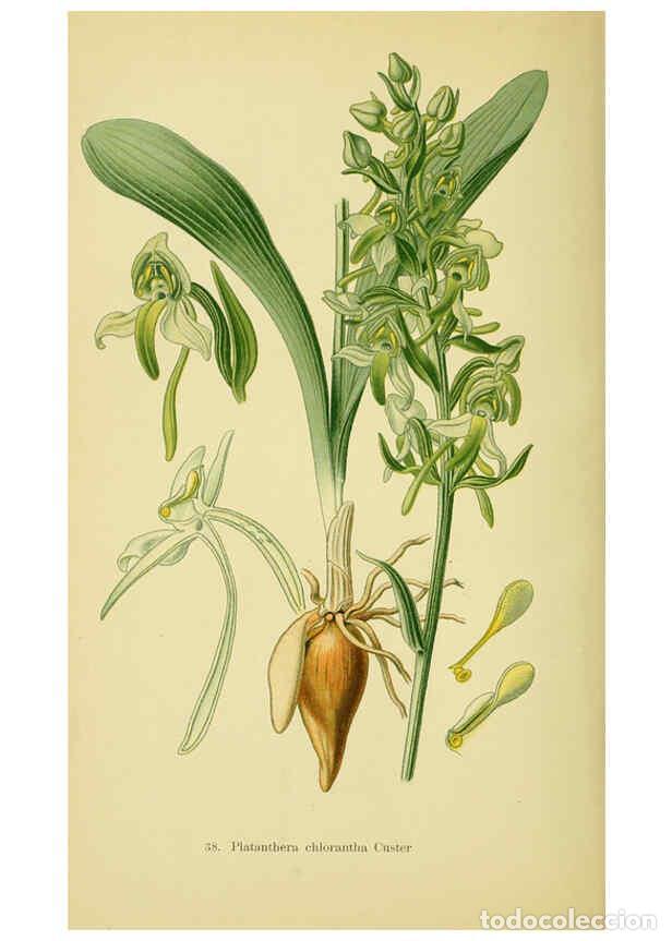 Collectionnisme de Revues et Journaux: Reproducci&oacute;n/Reproduction 6022124884: Abbildungen der in Deutschland und den angrenzenden gebieten v