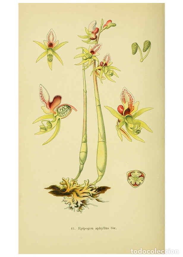 Collectionnisme de Revues et Journaux: Reproducci&oacute;n/Reproduction 6022126042: Abbildungen der in Deutschland und den angrenzenden gebieten v