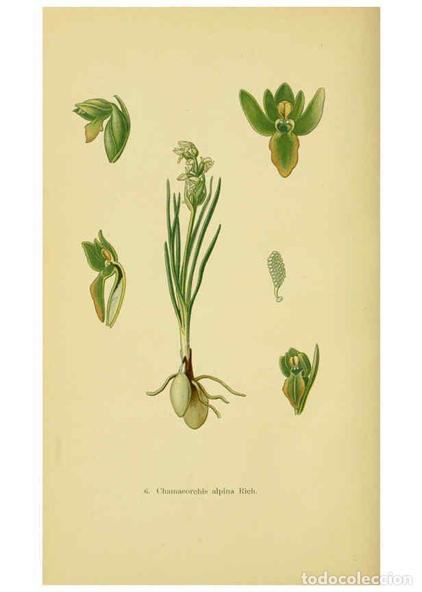 Collectionnisme de Revues et Journaux: Reproducci&oacute;n/Reproduction 6021557717: Abbildungen der in Deutschland und den angrenzenden gebieten v