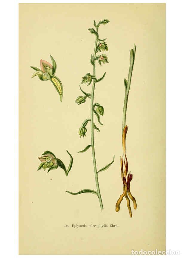 Collection Magazines and Newspapers: Reproducci&oacute;n/Reproduction 6022128952: Abbildungen der in Deutschland und den angrenzenden gebieten v