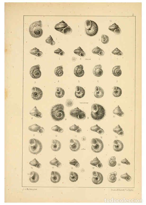 Collectionnisme de Revues et Journaux: Reproducci&oacute;n/Reproduction 6286152626: Die Preussische expedition nach Ost-Asien. Bd.2. Berlin :K&ouml;nig