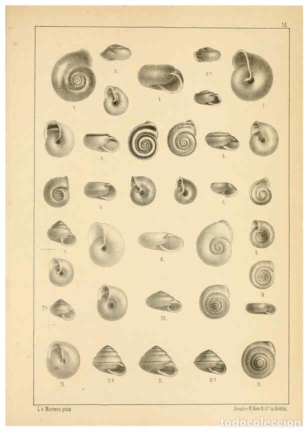 Collectionnisme de Revues et Journaux: Reproducci&oacute;n/Reproduction 6286154568: Die Preussische expedition nach Ost-Asien. Bd.2. Berlin :K&ouml;nig