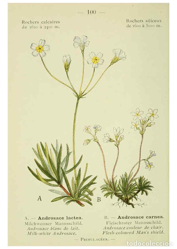 Collectionnisme de Revues et Journaux: Reproducci&oacute;n/Reproduction 6298291235: Nouvelle flore colori&eacute;e de poche des Alpes et des Pyr&eacute;n&eacute;es. v.