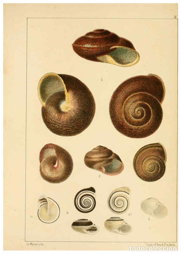 Collezionismo di Riviste e Giornali: Reproducci&oacute;n/Reproduction 6286155156: Die Preussische expedition nach Ost-Asien. Bd.2. Berlin :K&ouml;nig