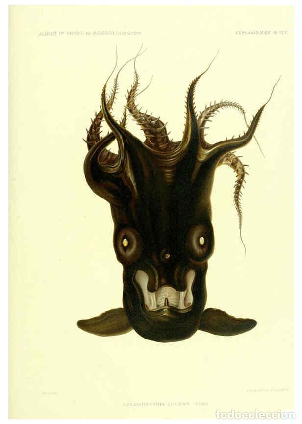 Sammeln von Zeitschriften und Zeitungen: Reproducci&oacute;n/Reproduction 6298609064: R&eacute;sultats des campagnes scientifiques accomplies sur son yacht