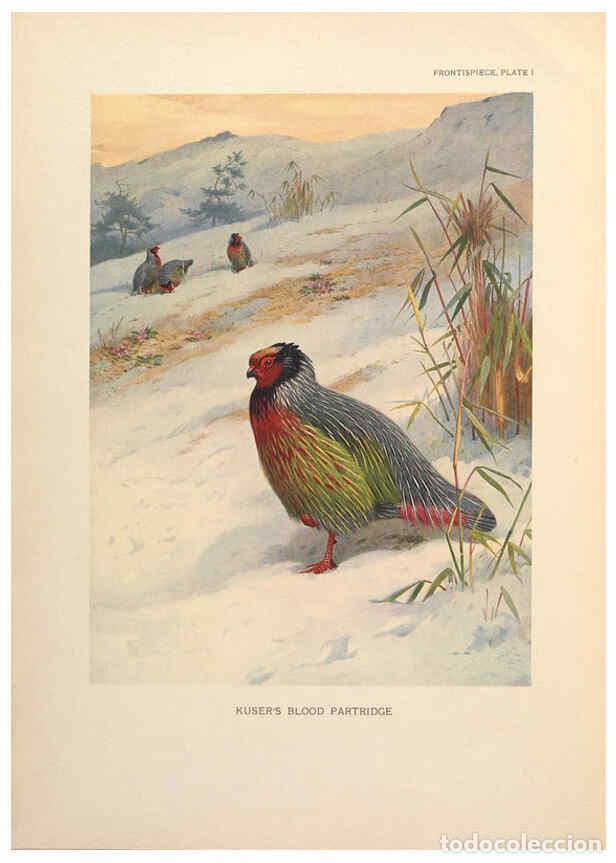 Sammeln von Zeitschriften und Zeitungen: Reproducci&oacute;n/Reproduction 6263641082: A monograph of the pheasants. v.1. London, England :Published