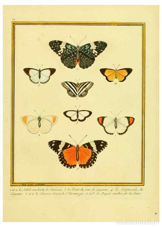 Collection Magazines and Newspapers: Reproducci&oacute;n/Reproduction 6008658021: Planches enlumin&eacute;es d'histoire naturelle t.1 Paris? :s.n.,1765