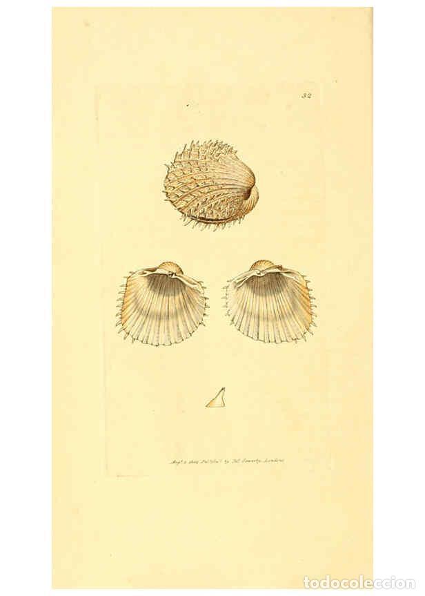 Collectionnisme de Revues et Journaux: Reproducci&oacute;n/Reproduction 6008839392: The British miscellany London :Printed by R. Taylor & Co., and