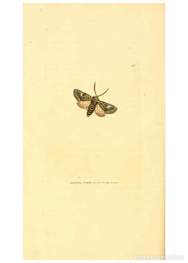 Collectionnisme de Revues et Journaux: Reproducci&oacute;n/Reproduction 6008840724: The British miscellany London :Printed by R. Taylor & Co., and