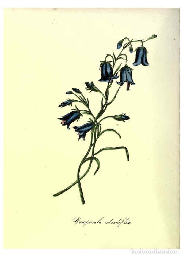 Collection Magazines and Newspapers: Reproducci&oacute;n/Reproduction 6263972164: The Floral keepsake New-York :Leavitt & Allen,[185-?] - John K