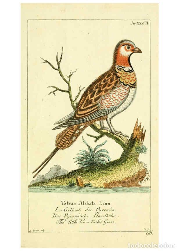 Sammeln von Zeitschriften und Zeitungen: Reproducci&oacute;n/Reproduction 6009089912: Gemeinn&uuml;zzige Naturgeschichte des Thierreichs bd 2 plates Berl