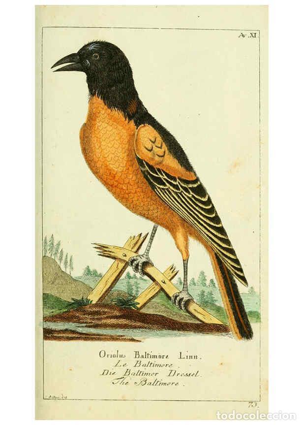 Sammeln von Zeitschriften und Zeitungen: Reproducci&oacute;n/Reproduction 6009082724: Gemeinn&uuml;zzige Naturgeschichte des Thierreichs bd 2 plates Berl