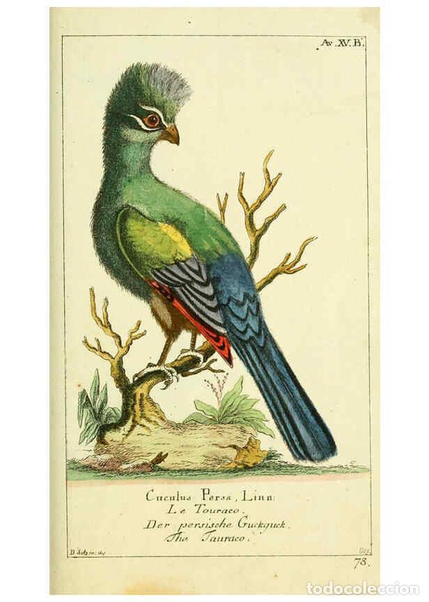 Sammeln von Zeitschriften und Zeitungen: Reproducci&oacute;n/Reproduction 6009084370: Gemeinn&uuml;zzige Naturgeschichte des Thierreichs bd 2 plates Berl