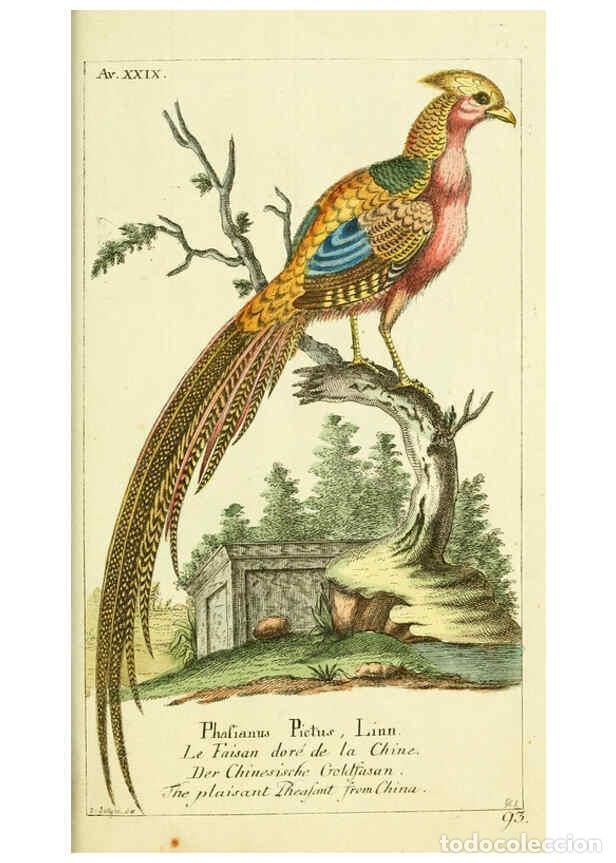 Sammeln von Zeitschriften und Zeitungen: Reproducci&oacute;n/Reproduction 6009088872: Gemeinn&uuml;zzige Naturgeschichte des Thierreichs bd 2 plates Berl