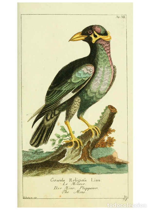 Sammeln von Zeitschriften und Zeitungen: Reproducci&oacute;n/Reproduction 6009083020: Gemeinn&uuml;zzige Naturgeschichte des Thierreichs bd 2 plates Berl