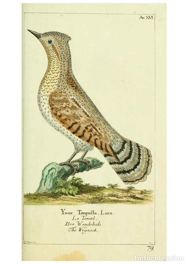 Sammeln von Zeitschriften und Zeitungen: Reproducci&oacute;n/Reproduction 6009084706: Gemeinn&uuml;zzige Naturgeschichte des Thierreichs bd 2 plates Berl