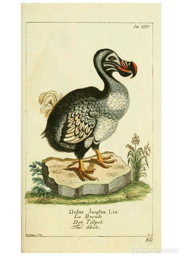 Coleccionismo de Revistas y Peri&oacute;dicos: Reproducci&oacute;n/Reproduction 6008539857: Gemeinn&uuml;zzige Naturgeschichte des Thierreichs bd 2 plates Berl