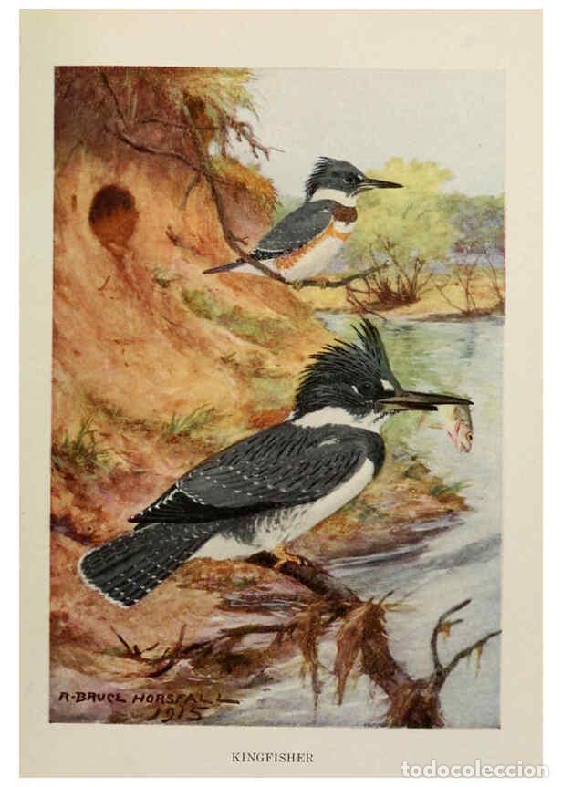 Collectionnisme de Revues et Journaux: Reproducci&oacute;n/Reproduction 6264219494: Bird biographies New York,Dodd, Mead,1923 - Alice Eliza Ball