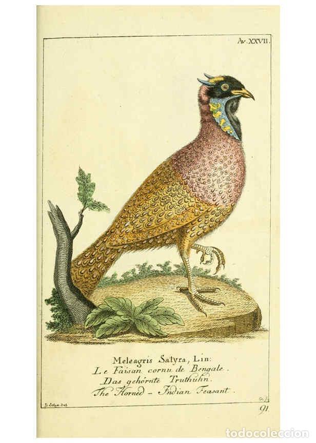 Coleccionismo de Revistas y Peri&oacute;dicos: Reproducci&oacute;n/Reproduction 6008540659: Gemeinn&uuml;zzige Naturgeschichte des Thierreichs bd 2 plates Berl