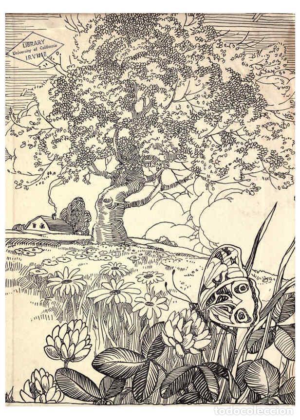 Collezionismo di Riviste e Giornali: Reproducci&oacute;n/Reproduction 6266854674: The moth book Garden City, New York :Doubleday, Page & company