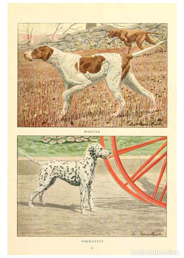 Sammeln von Zeitschriften und Zeitungen: Reproducci&oacute;n/Reproduction 6353220761: The book of dogs Washington, D. C.,The National geographic soc