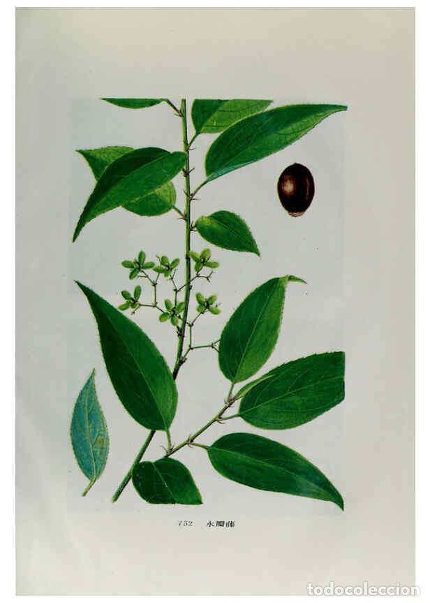 Sammeln von Zeitschriften und Zeitungen: Reproducci&oacute;n/Reproduction 6328378811: an hui jing ji zhi wu zhi an hui ke xue ji shu chu ban