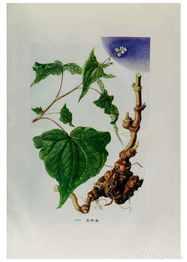 Sammeln von Zeitschriften und Zeitungen: Reproducci&oacute;n/Reproduction 6328378045: an hui jing ji zhi wu zhi an hui ke xue ji shu chu ban