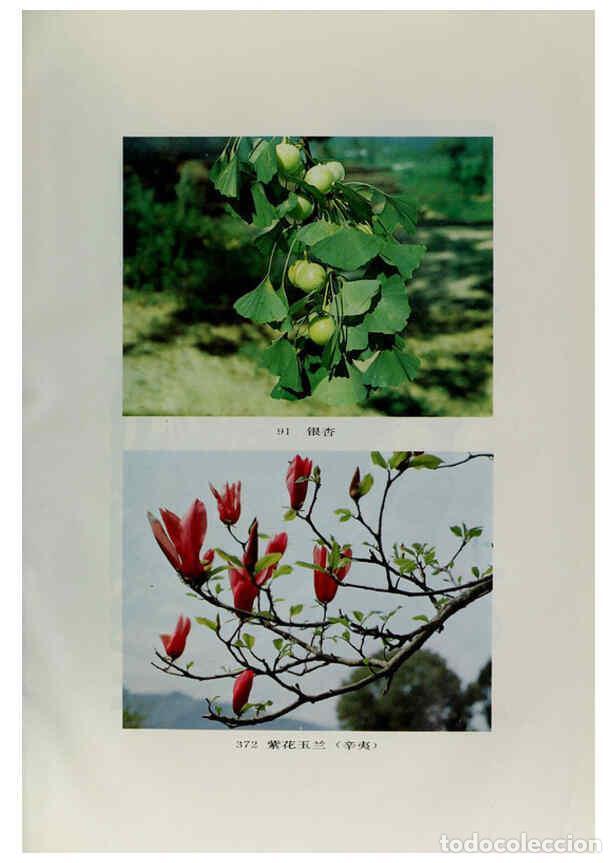 Sammeln von Zeitschriften und Zeitungen: Reproducci&oacute;n/Reproduction 6329132220: an hui jing ji zhi wu zhi an hui ke xue ji shu chu ban