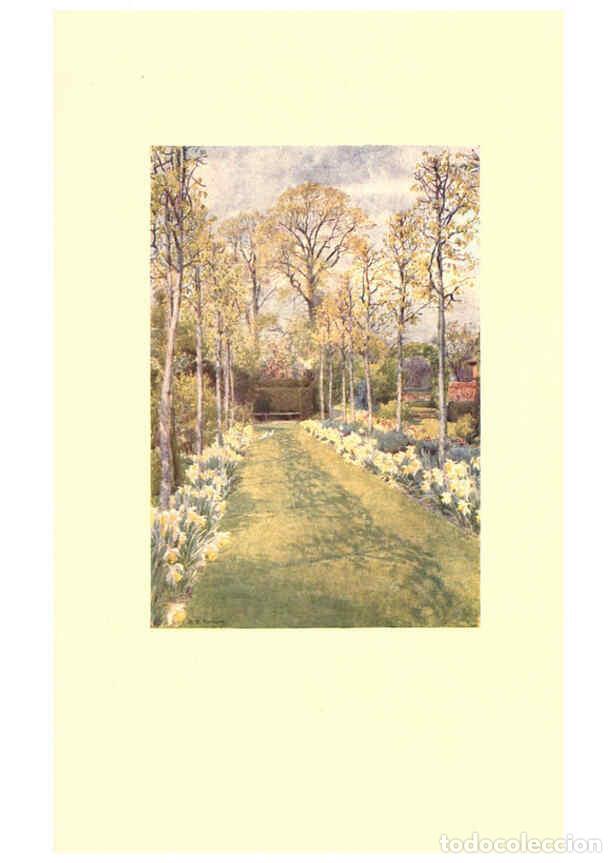 Collezionismo di Riviste e Giornali: Reproducci&oacute;n/Reproduction 6302898568: The lure of the garden New York :The Century Co.,1911 - Hildeg