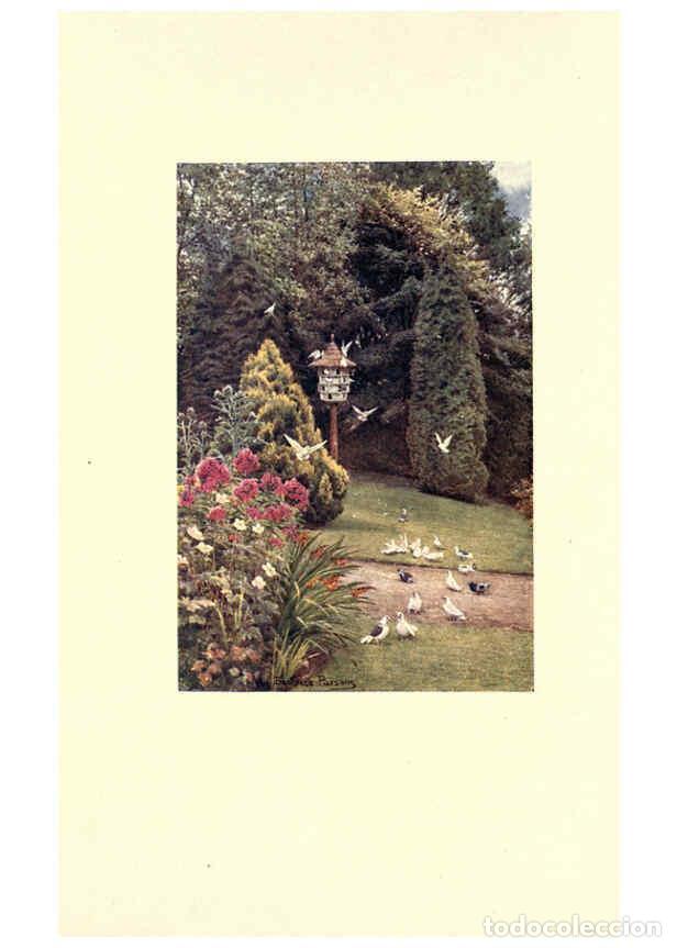 Collezionismo di Riviste e Giornali: Reproducci&oacute;n/Reproduction 6302375929: The lure of the garden New York :The Century Co.,1911 - Hildeg