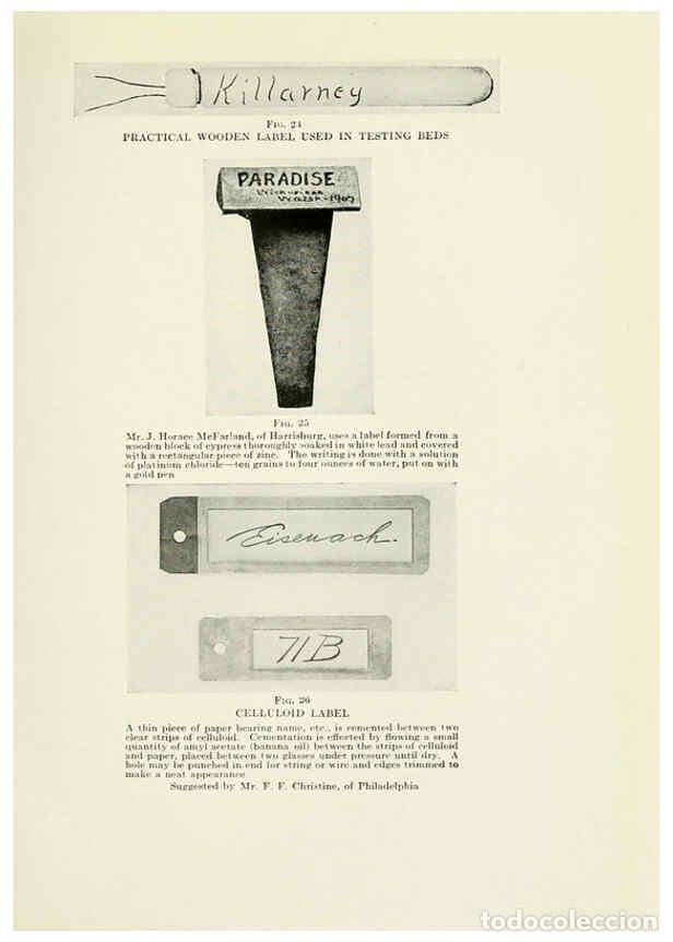 Collectionnisme de Revues et Journaux: Reproducci&oacute;n/Reproduction 6309181414: The practical book of outdoor rose growing for the home garden