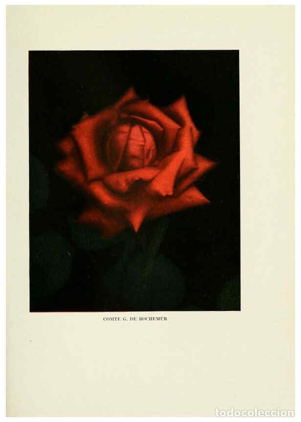 Collectionnisme de Revues et Journaux: Reproducci&oacute;n/Reproduction 6308655833: The practical book of outdoor rose growing for the home garden