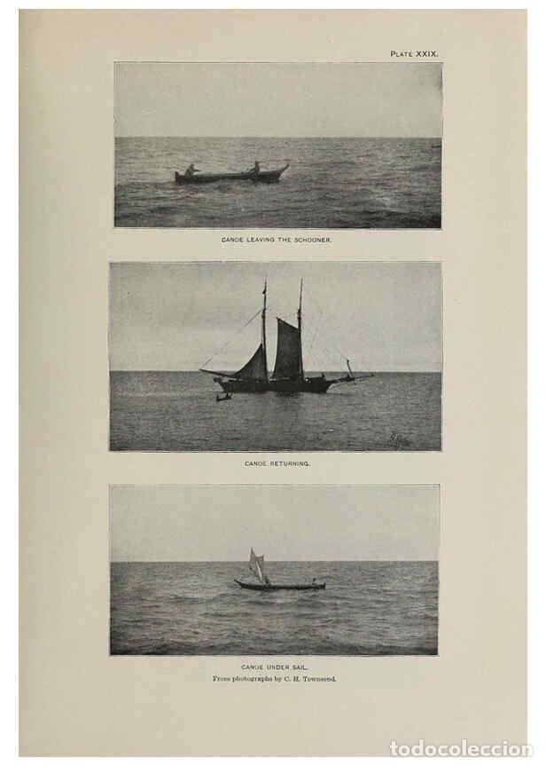 Colecionismo de Revistas e Jornais: Reproducci&oacute;n/Reproduction 6305638217: The fur seals and fur-seal islands of the North Pacific Ocean.