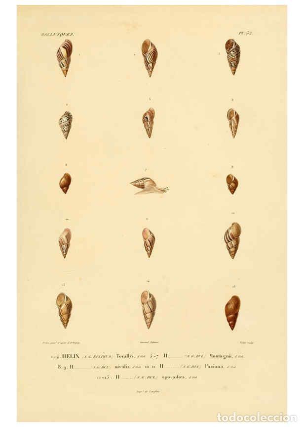 Coleccionismo de Revistas y Peri&oacute;dicos: Reproducci&oacute;n/Reproduction 6302690533: Voyage dans l'Am&eacute;rique M&eacute;ridionale. v.9. Paris :Pitois-Levraul