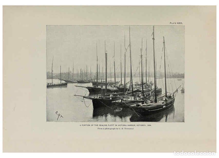 Collection Magazines and Newspapers: Reproducci&oacute;n/Reproduction 6306160404: The fur seals and fur-seal islands of the North Pacific Ocean.